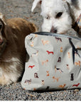 Two dogs looking at a pouch with dog illustrations on a gravel surface