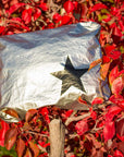 Makeup Pouch - Travel Pack - Medium Pack - Metallic Silver Bag with Black Star