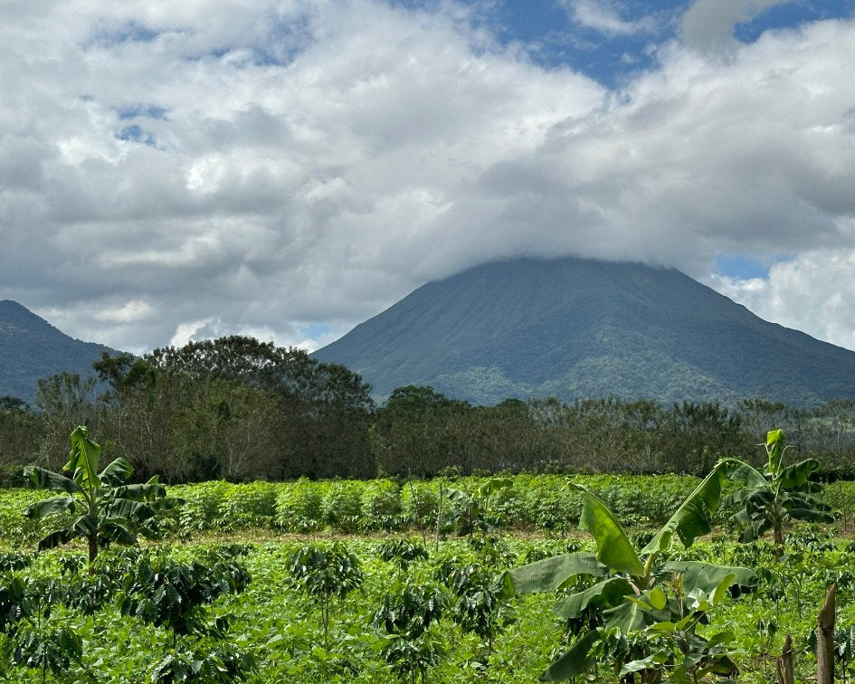 View of mountain and greenery in La Fortuna Costa Rica