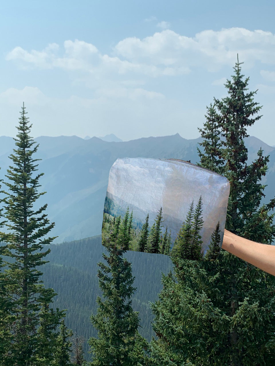 Hand holding medium pouch in aspen summer design with forest background