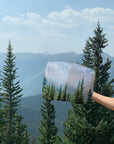 Hand holding medium pouch in aspen summer design with forest background