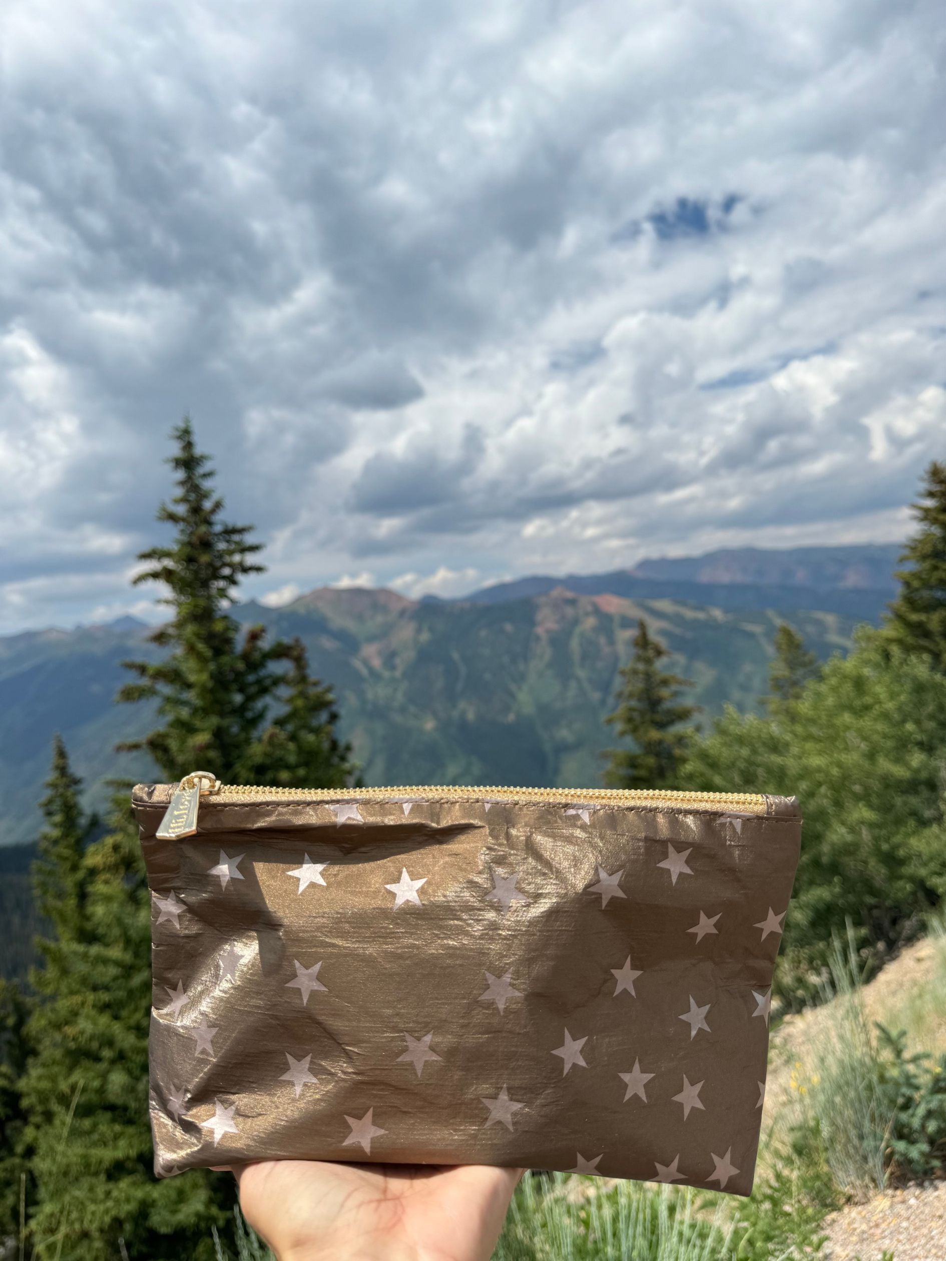 Cosmetic Zipper Pouch Shimmer Bronze & Myriad Stars