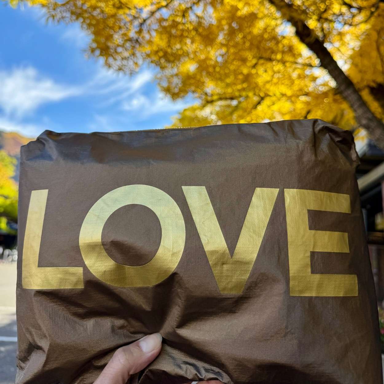 Medium zip pouch in shimmer bronze with gold love with blue sky and changing leaves in the background