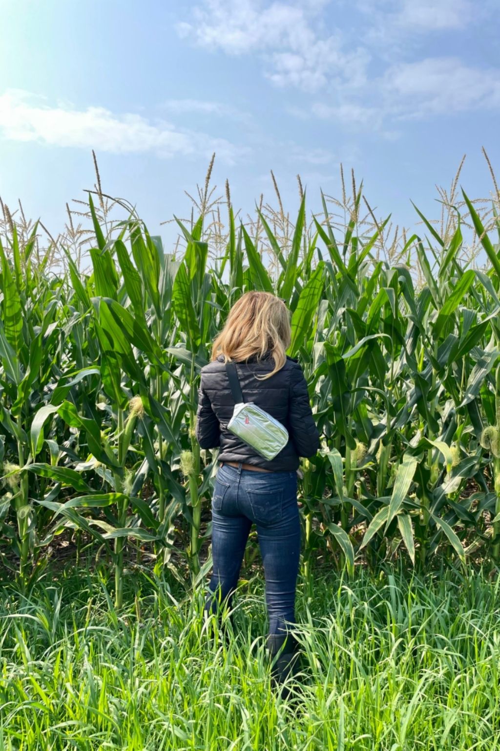 Woman in corn field Puffer Crossbody Fanny Pack Belt Bag in Silver with Black Strap