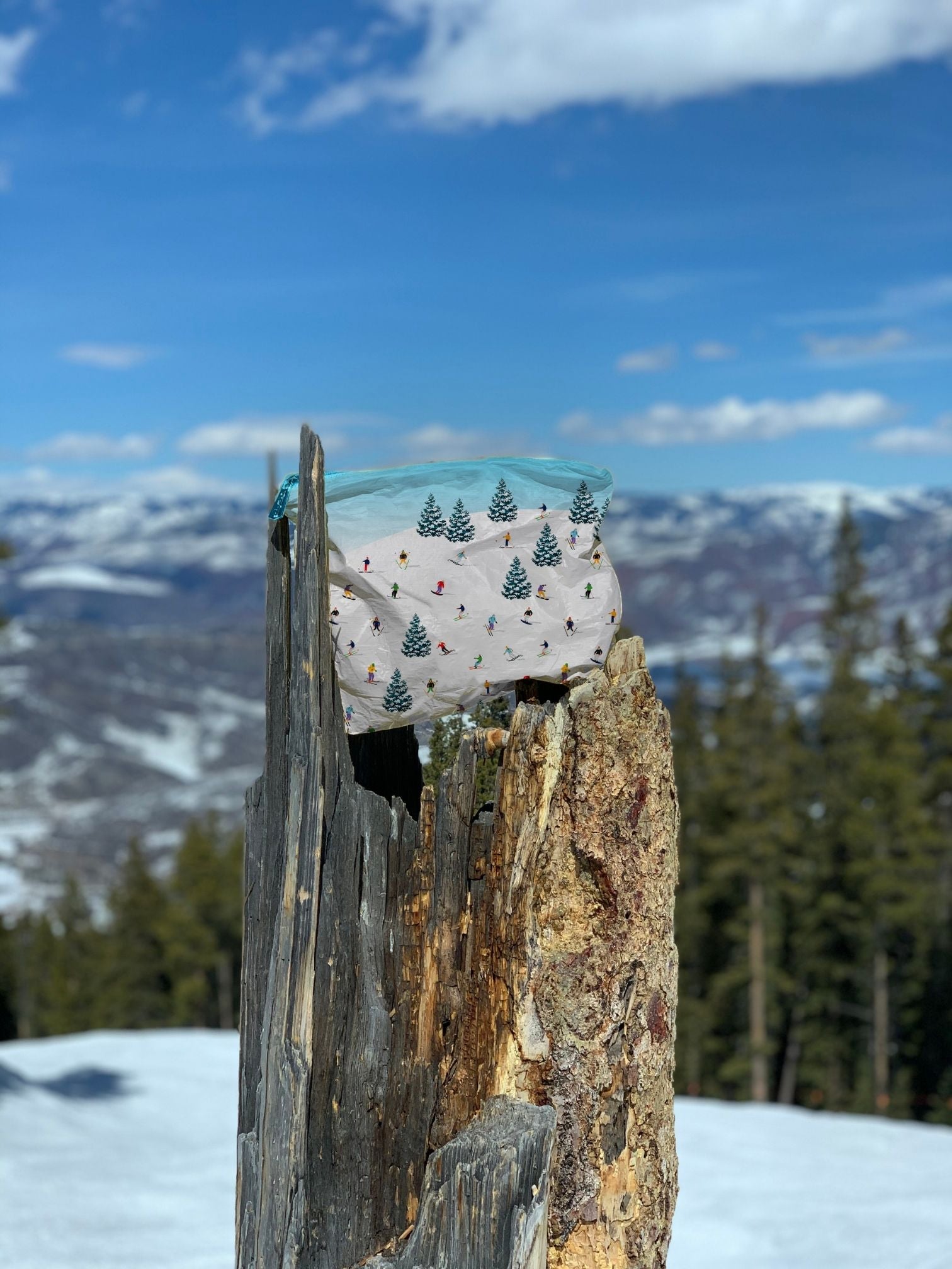 zipper pouch in skiers pattern with slopes in the background