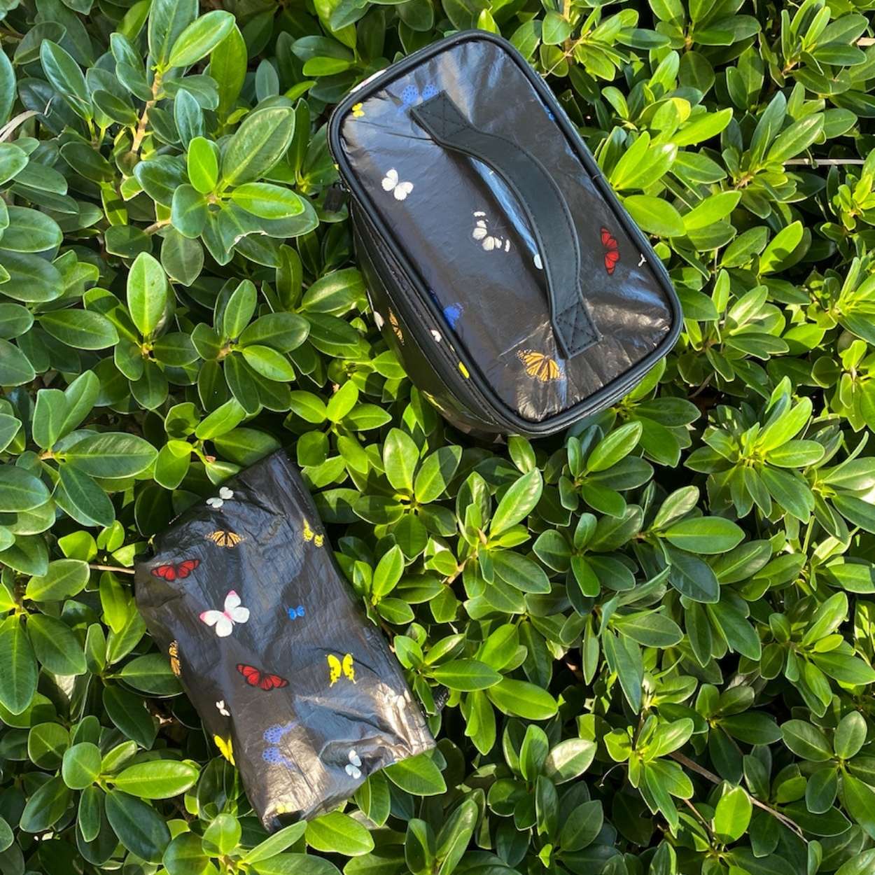 Mini pouch and cosmetic case in black with butterflies on plant background