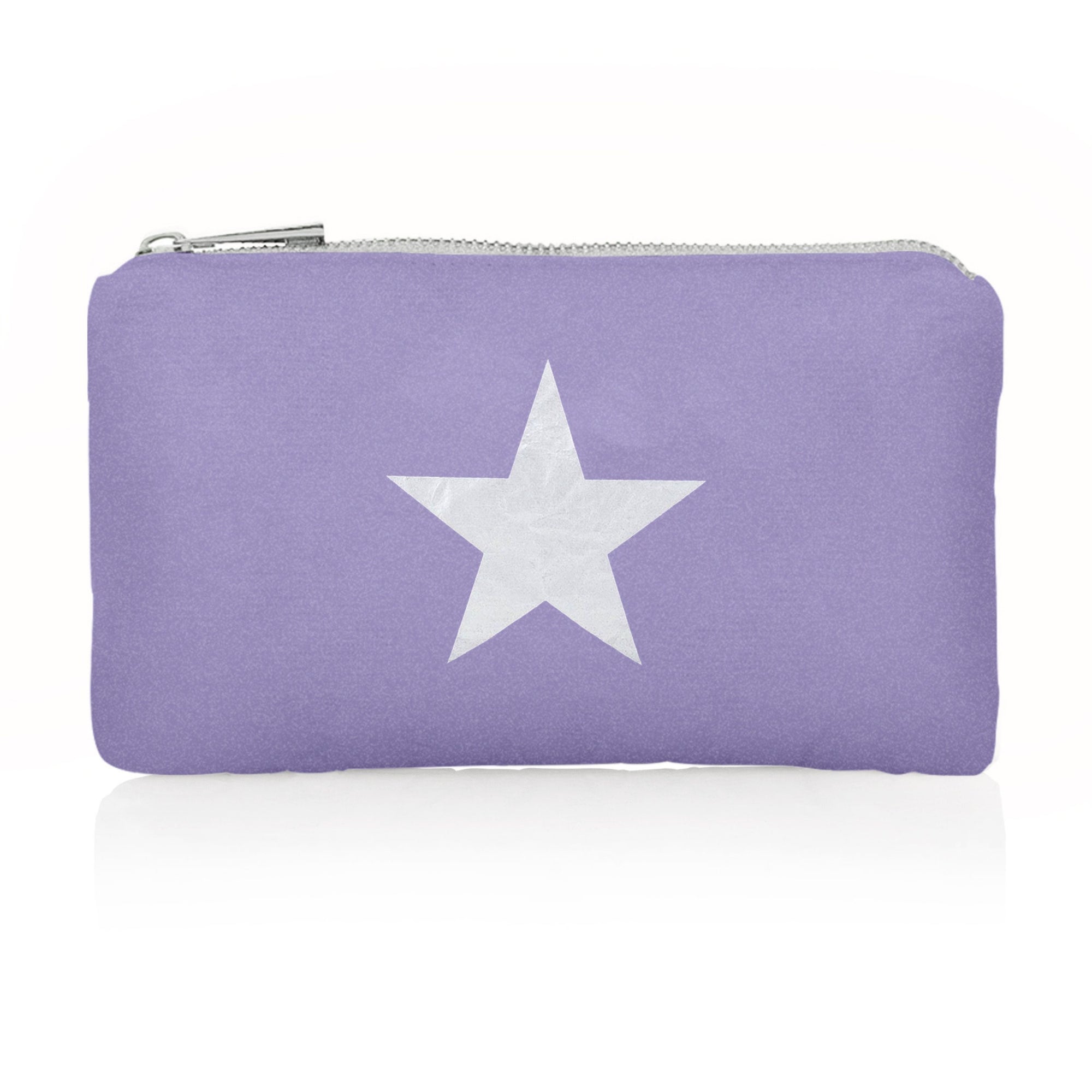 Mini zipper pouch in shimmer purple with silver star on white background